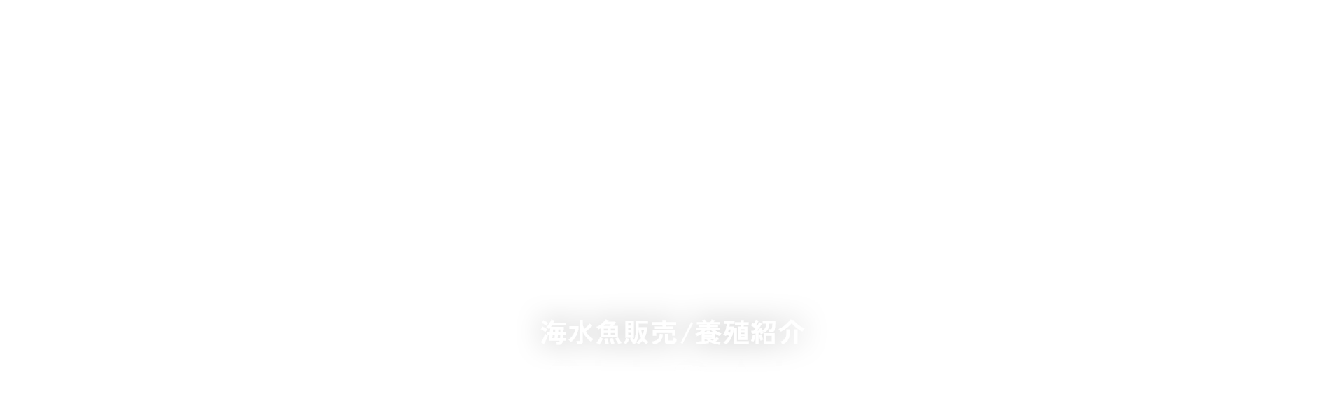 海水魚販売/養殖紹介