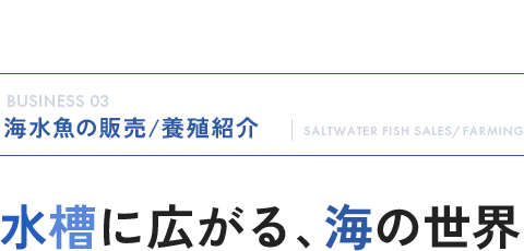 海水業の販売/養殖紹介