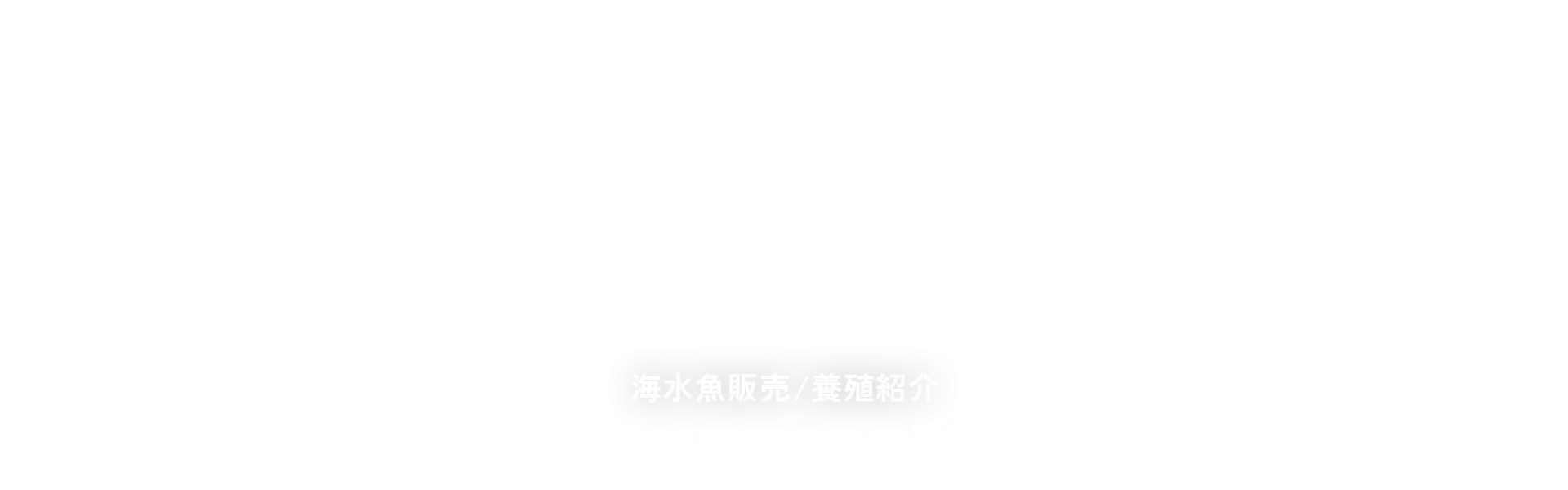海水魚販売/養殖紹介